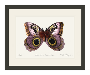 Owl Butterfly I Print