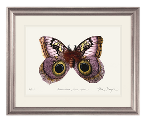 Owl Butterfly I Print