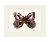 Owl Butterfly I Print