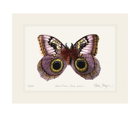 Owl Butterfly I Print