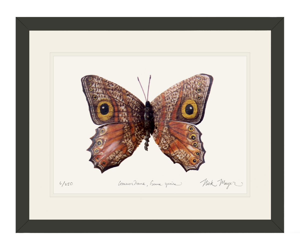 Owl Butterfly II Print