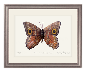 Owl Butterfly II Print