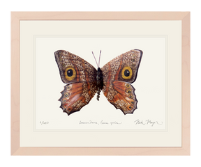 Owl Butterfly II Print
