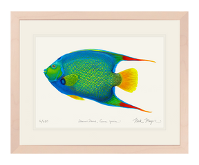 Queen Angelfish Original Watercolor Painting