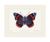 Red Admiral Butterfly Print
