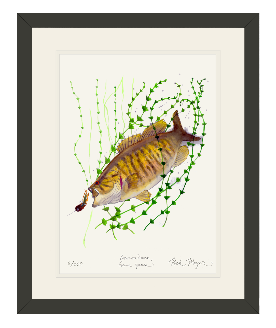 Smallmouth Bass Print