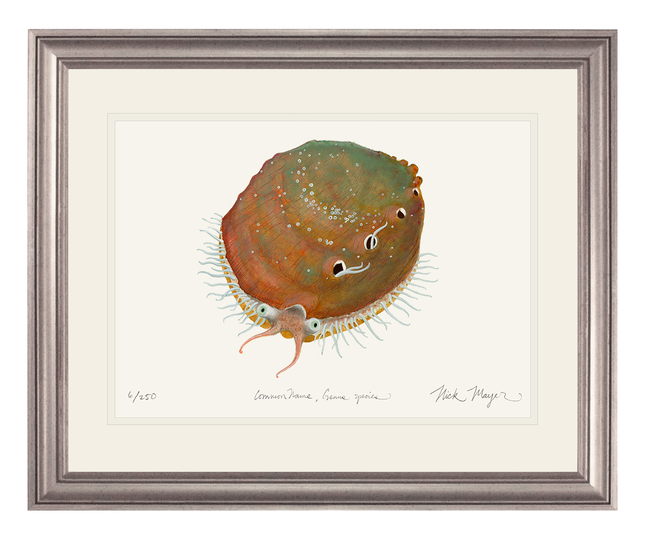 White Abalone I Limited Edition Print