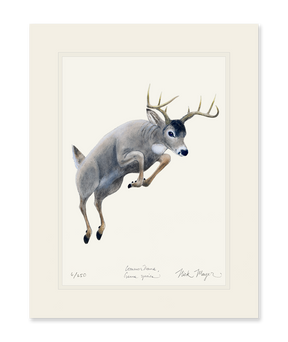 Whitetail Buck Print