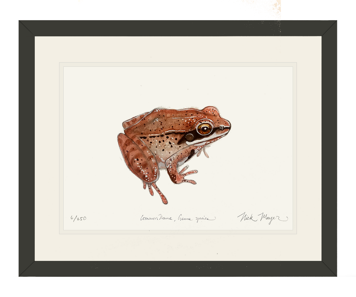wood-frog-art-print-bl.png?v=