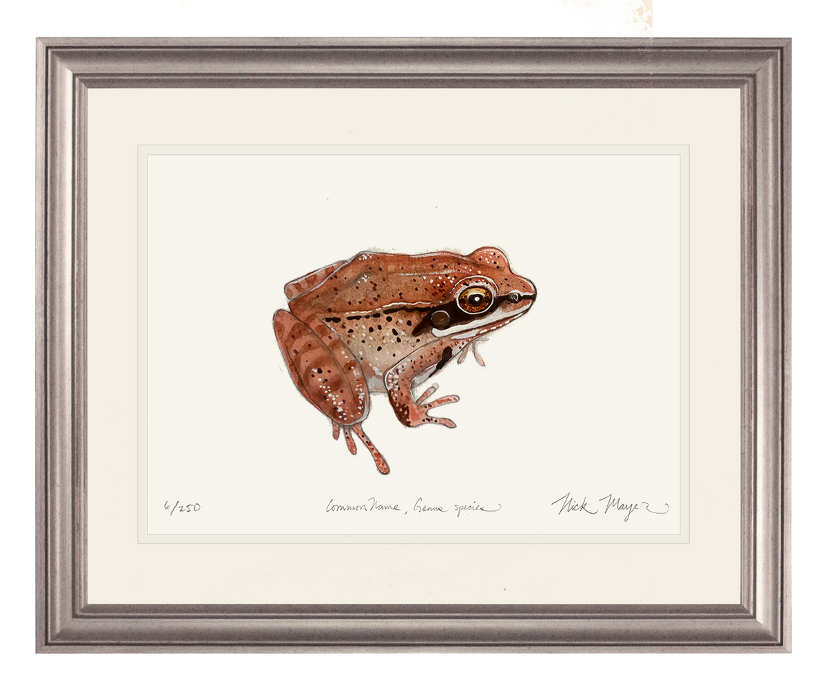 wood-frog-art-print-si.png?v=