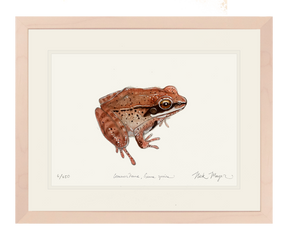 NEW Wood Frog Print