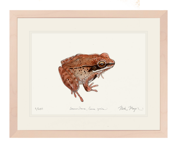 wood-frog-art-print-
